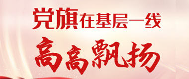 管家婆正版资料彩图
